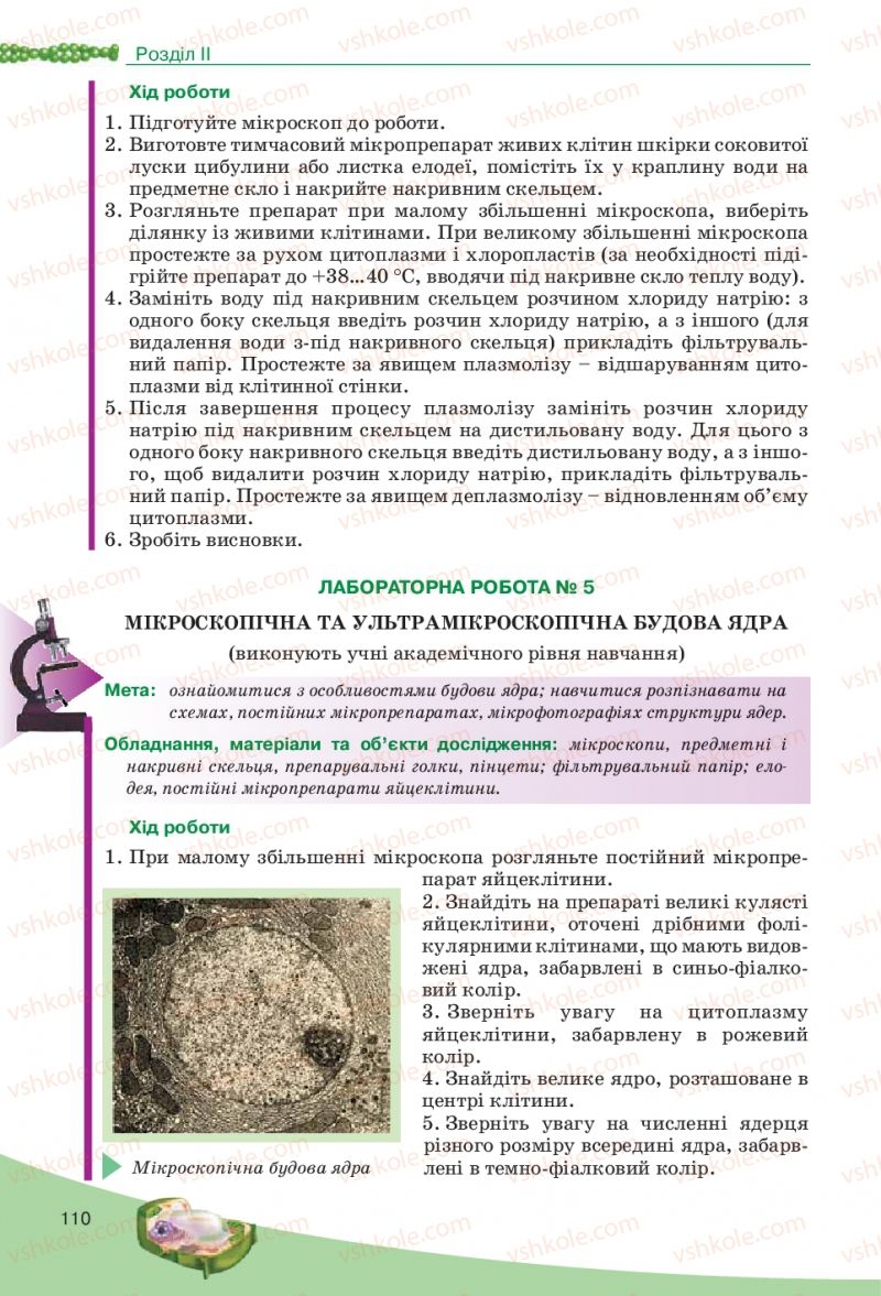 Страница 110 | Підручник Біологія 10 клас П.Г. Балан, Ю.Г. Вервес, В.П. Поліщук 2010 Академічний рівень