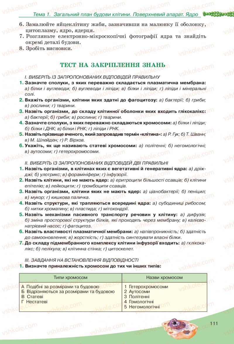 Страница 111 | Підручник Біологія 10 клас П.Г. Балан, Ю.Г. Вервес, В.П. Поліщук 2010 Академічний рівень