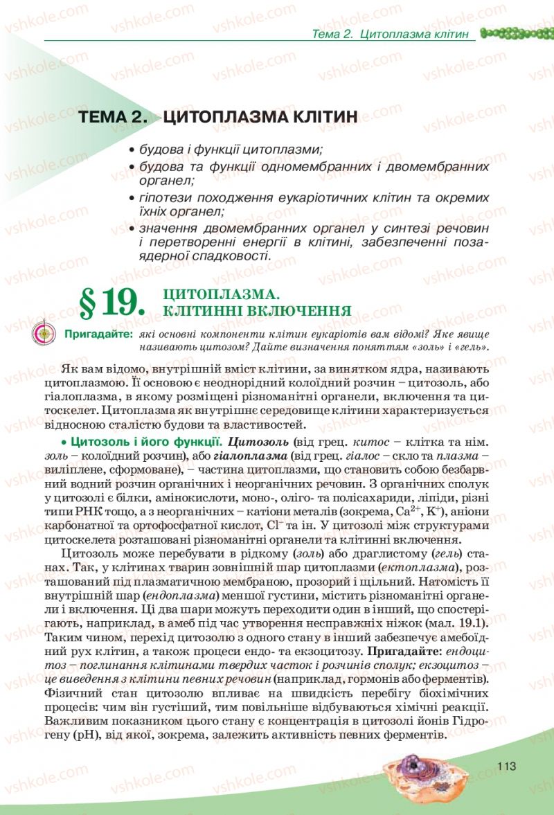 Страница 113 | Підручник Біологія 10 клас П.Г. Балан, Ю.Г. Вервес, В.П. Поліщук 2010 Академічний рівень