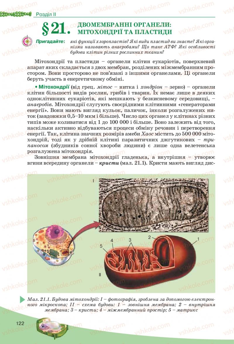 Страница 122 | Підручник Біологія 10 клас П.Г. Балан, Ю.Г. Вервес, В.П. Поліщук 2010 Академічний рівень
