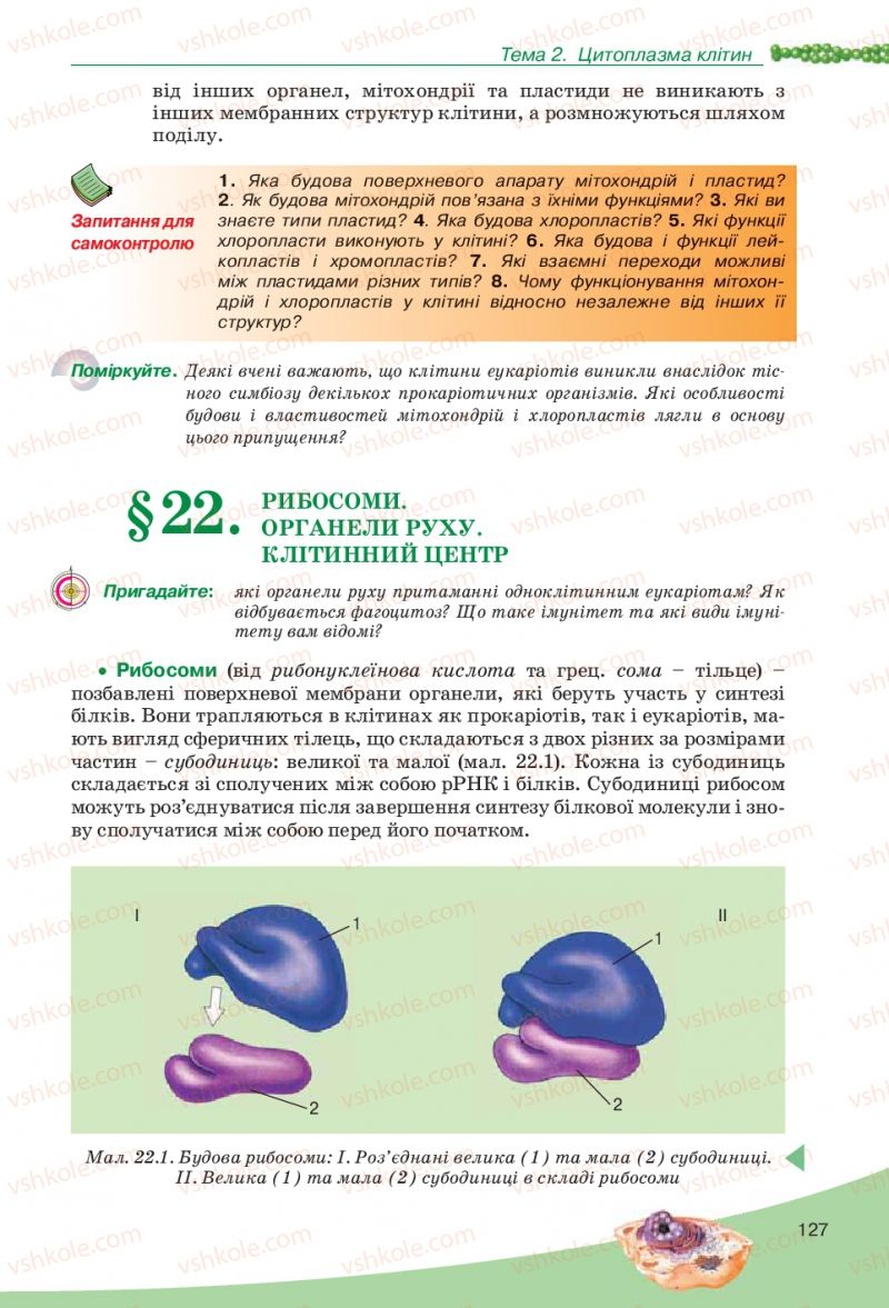 Страница 127 | Підручник Біологія 10 клас П.Г. Балан, Ю.Г. Вервес, В.П. Поліщук 2010 Академічний рівень