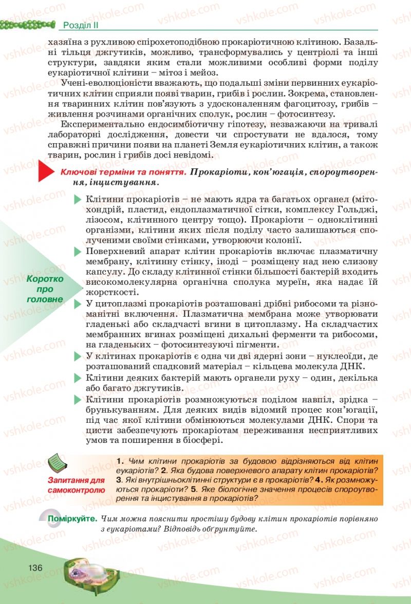 Страница 136 | Підручник Біологія 10 клас П.Г. Балан, Ю.Г. Вервес, В.П. Поліщук 2010 Академічний рівень