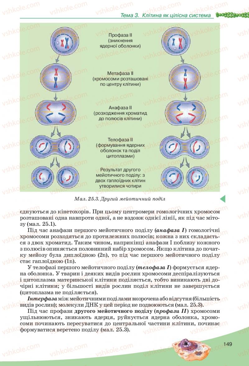Страница 149 | Підручник Біологія 10 клас П.Г. Балан, Ю.Г. Вервес, В.П. Поліщук 2010 Академічний рівень