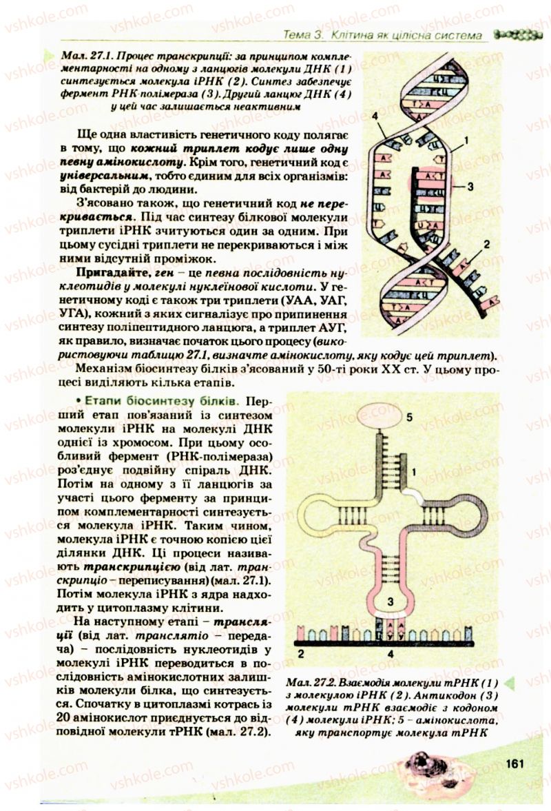 Страница 161 | Підручник Біологія 10 клас П.Г. Балан, Ю.Г. Вервес, В.П. Поліщук 2010 Академічний рівень