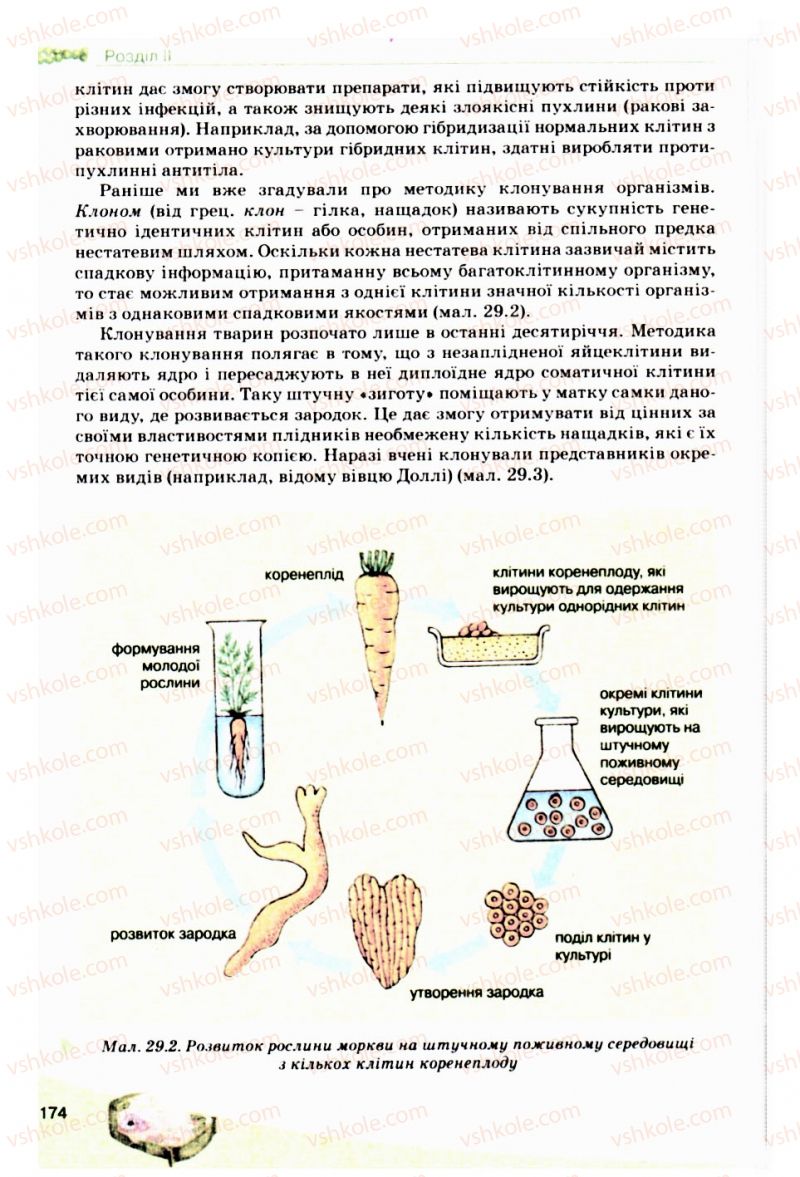 Страница 174 | Підручник Біологія 10 клас П.Г. Балан, Ю.Г. Вервес, В.П. Поліщук 2010 Академічний рівень