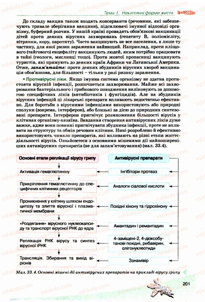 Страница 201 | Підручник Біологія 10 клас П.Г. Балан, Ю.Г. Вервес, В.П. Поліщук 2010 Академічний рівень