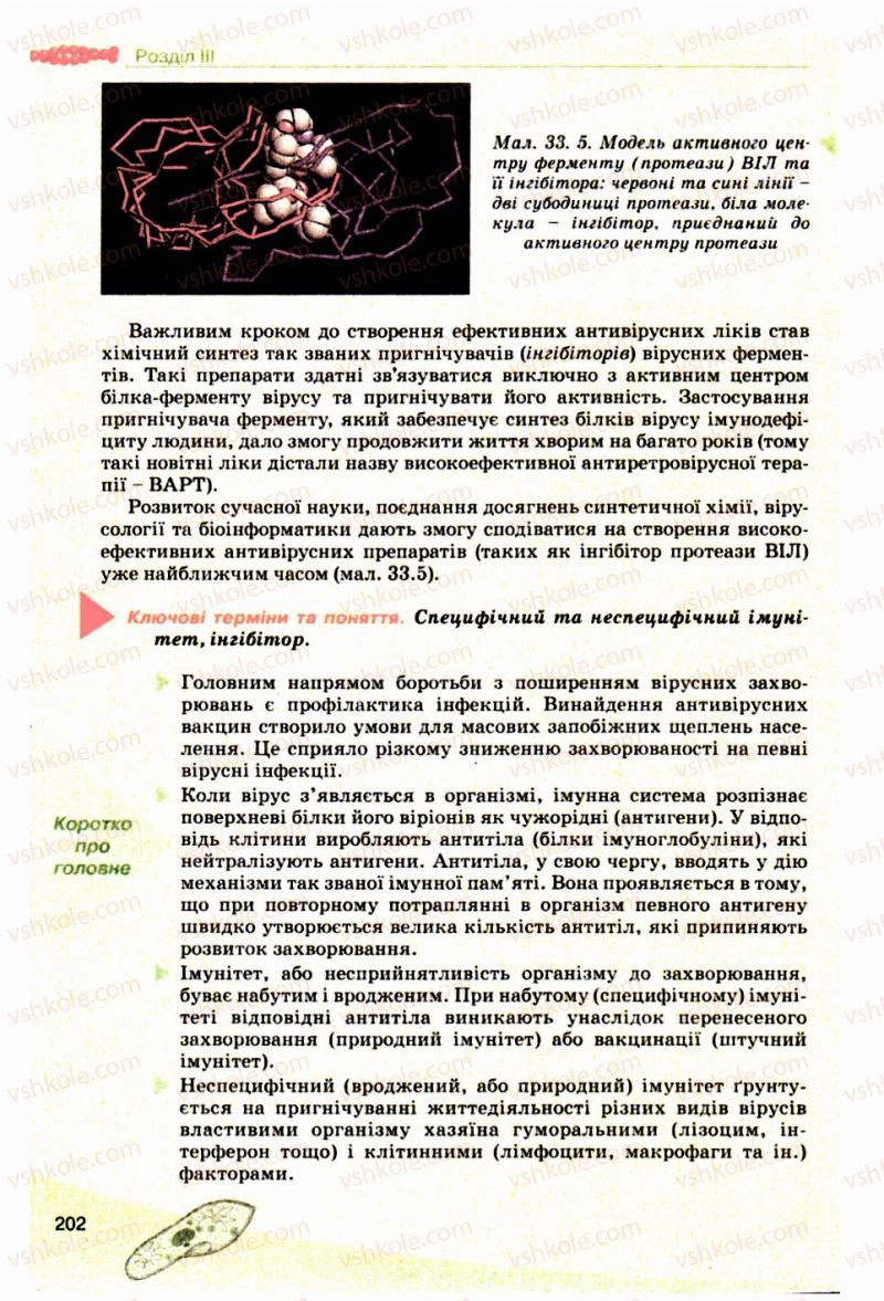 Страница 202 | Підручник Біологія 10 клас П.Г. Балан, Ю.Г. Вервес, В.П. Поліщук 2010 Академічний рівень