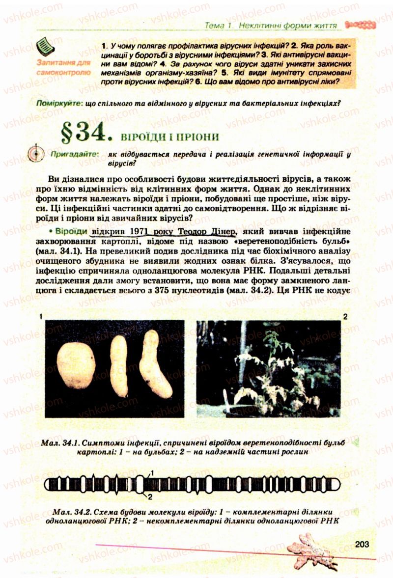 Страница 203 | Підручник Біологія 10 клас П.Г. Балан, Ю.Г. Вервес, В.П. Поліщук 2010 Академічний рівень