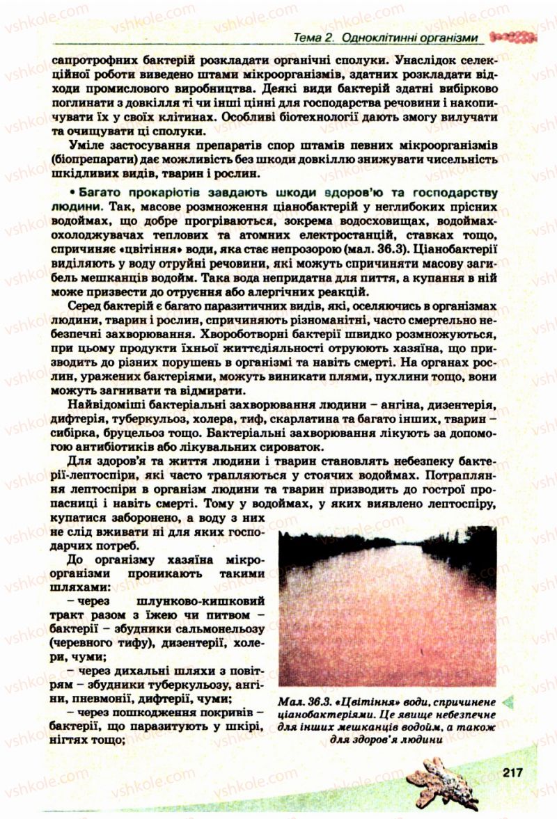 Страница 217 | Підручник Біологія 10 клас П.Г. Балан, Ю.Г. Вервес, В.П. Поліщук 2010 Академічний рівень