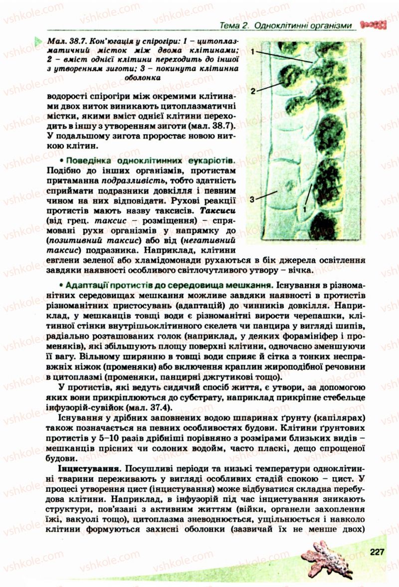 Страница 227 | Підручник Біологія 10 клас П.Г. Балан, Ю.Г. Вервес, В.П. Поліщук 2010 Академічний рівень