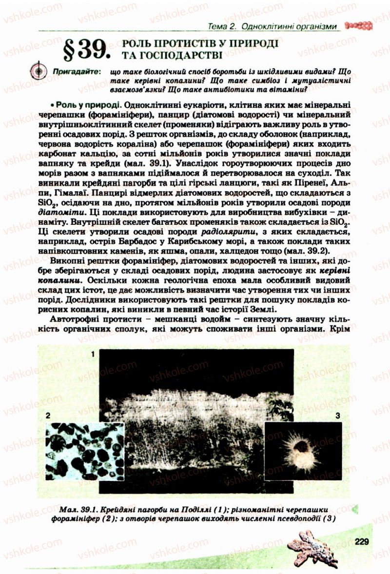 Страница 229 | Підручник Біологія 10 клас П.Г. Балан, Ю.Г. Вервес, В.П. Поліщук 2010 Академічний рівень