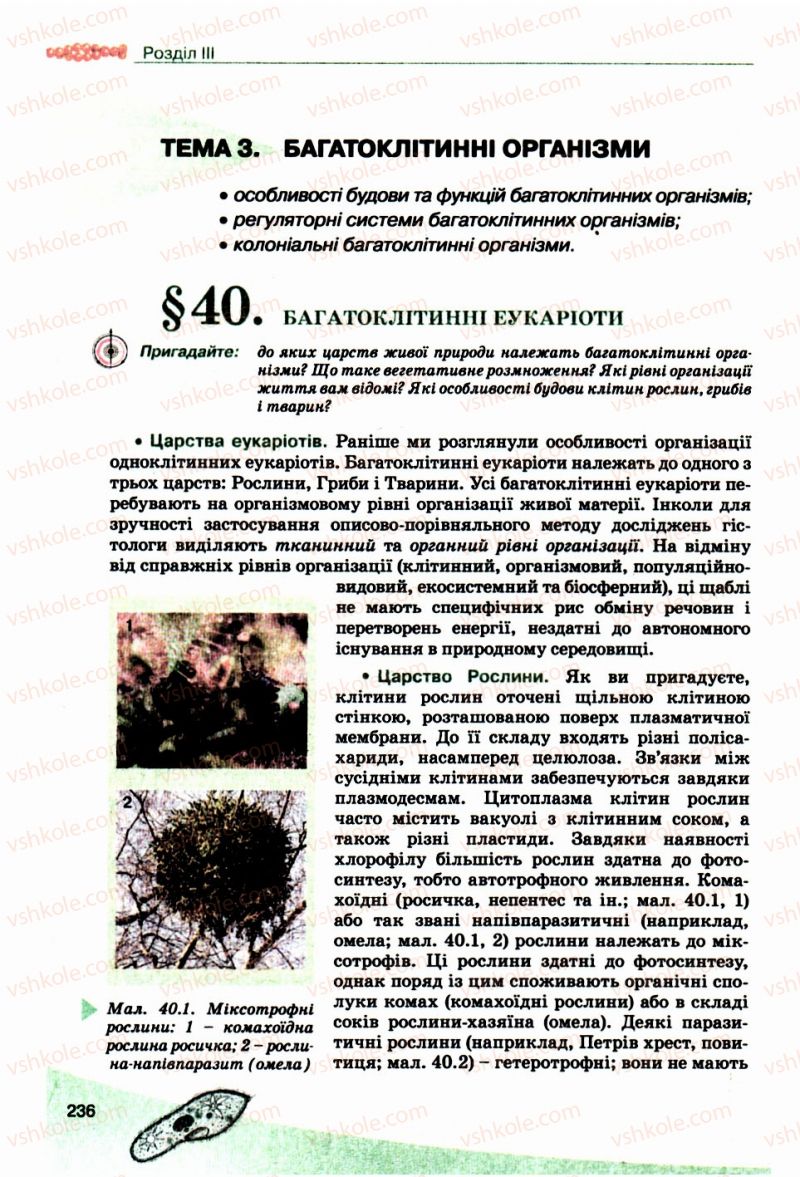 Страница 236 | Підручник Біологія 10 клас П.Г. Балан, Ю.Г. Вервес, В.П. Поліщук 2010 Академічний рівень
