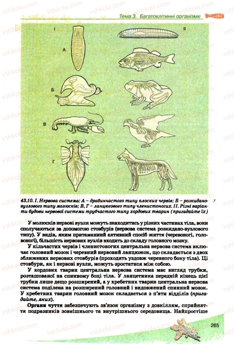 Страница 265 | Підручник Біологія 10 клас П.Г. Балан, Ю.Г. Вервес, В.П. Поліщук 2010 Академічний рівень
