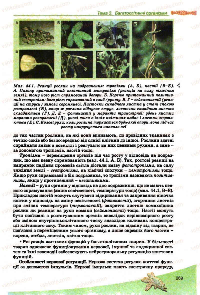 Страница 269 | Підручник Біологія 10 клас П.Г. Балан, Ю.Г. Вервес, В.П. Поліщук 2010 Академічний рівень