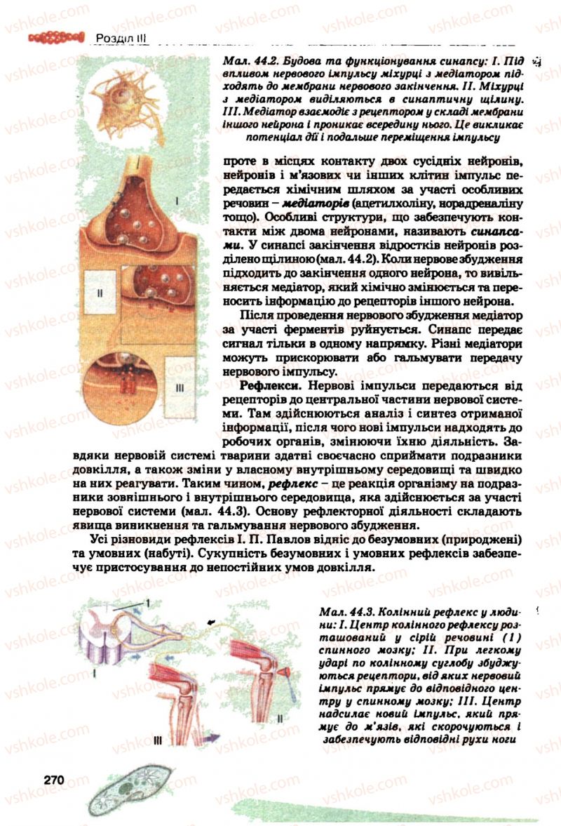 Страница 270 | Підручник Біологія 10 клас П.Г. Балан, Ю.Г. Вервес, В.П. Поліщук 2010 Академічний рівень