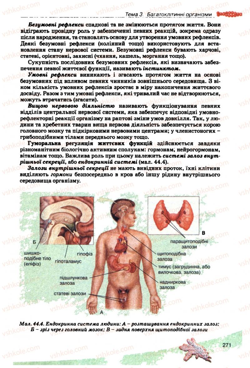 Страница 271 | Підручник Біологія 10 клас П.Г. Балан, Ю.Г. Вервес, В.П. Поліщук 2010 Академічний рівень