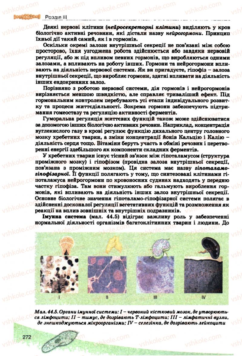 Страница 272 | Підручник Біологія 10 клас П.Г. Балан, Ю.Г. Вервес, В.П. Поліщук 2010 Академічний рівень