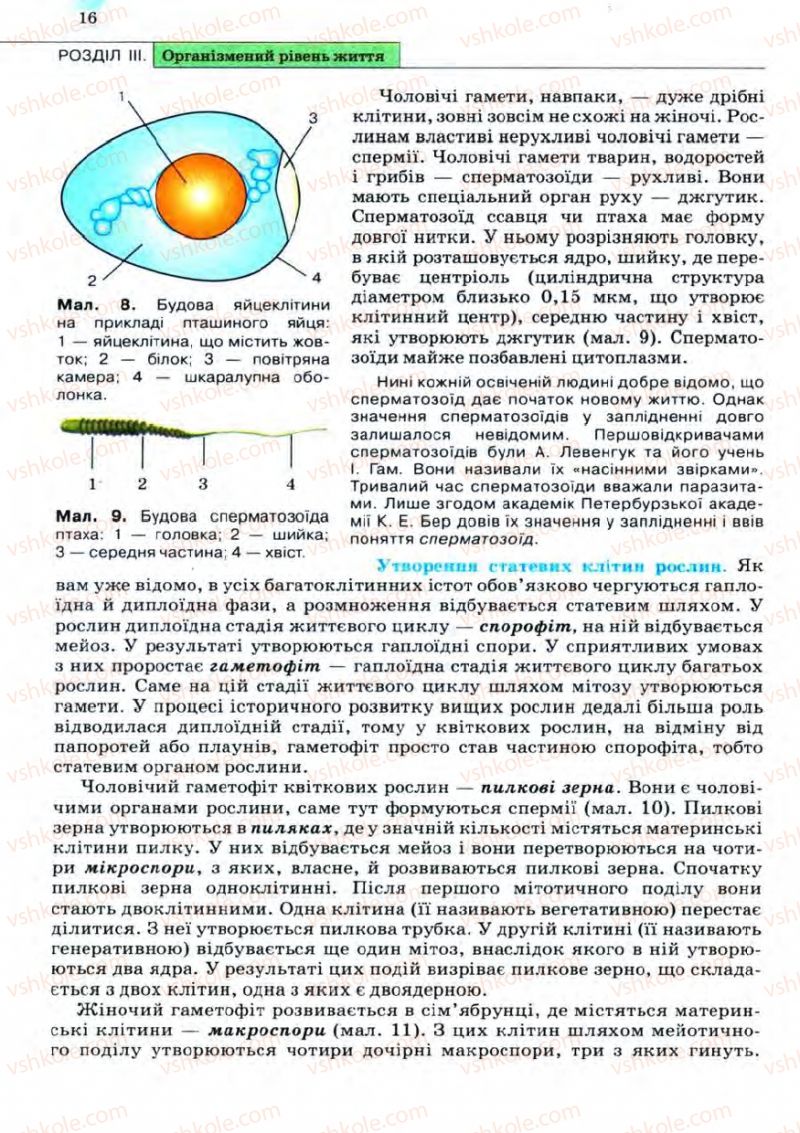 Страница 16 | Підручник Біологія 11 клас С.В. Межжерін, Я.О. Межжеріна 2011 Академічний рівень