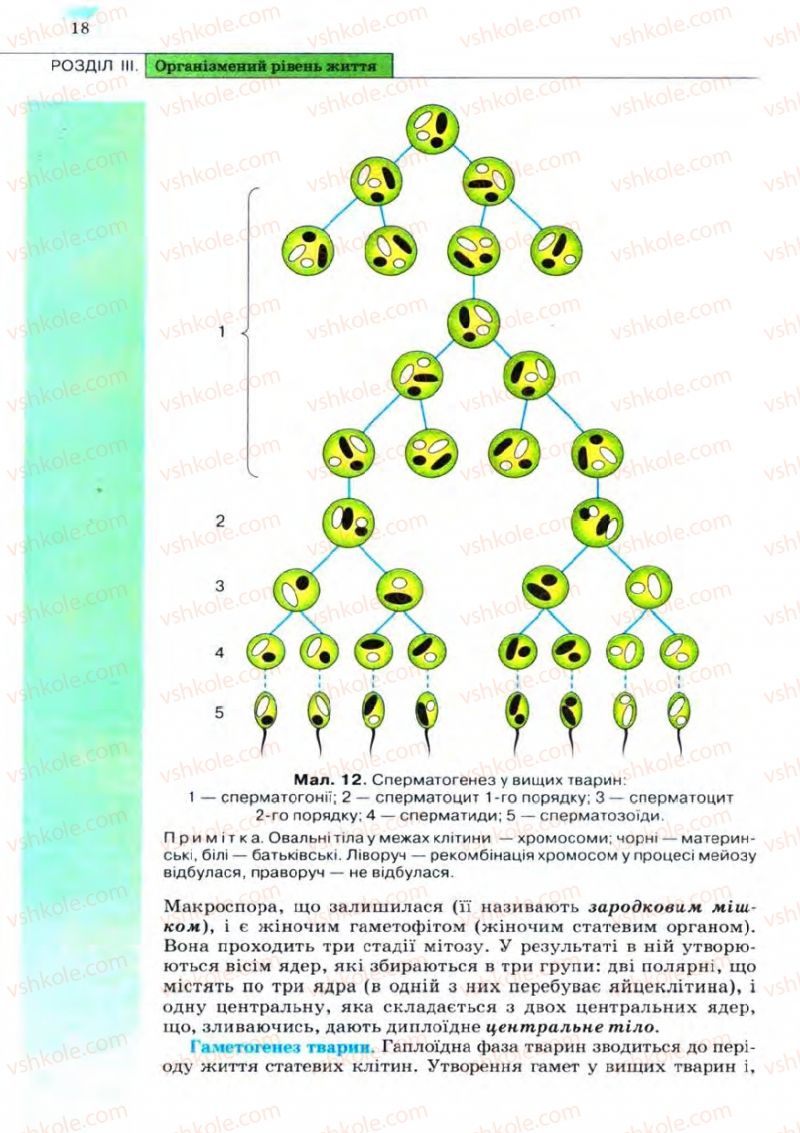 Страница 18 | Підручник Біологія 11 клас С.В. Межжерін, Я.О. Межжеріна 2011 Академічний рівень