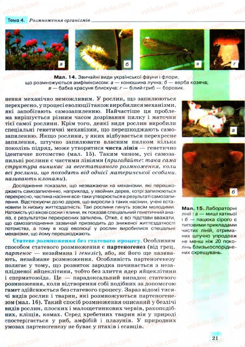 Страница 21 | Підручник Біологія 11 клас С.В. Межжерін, Я.О. Межжеріна 2011 Академічний рівень