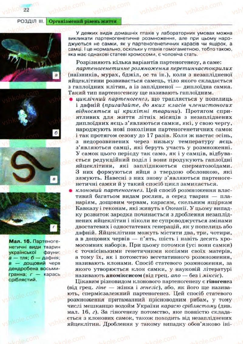 Страница 22 | Підручник Біологія 11 клас С.В. Межжерін, Я.О. Межжеріна 2011 Академічний рівень