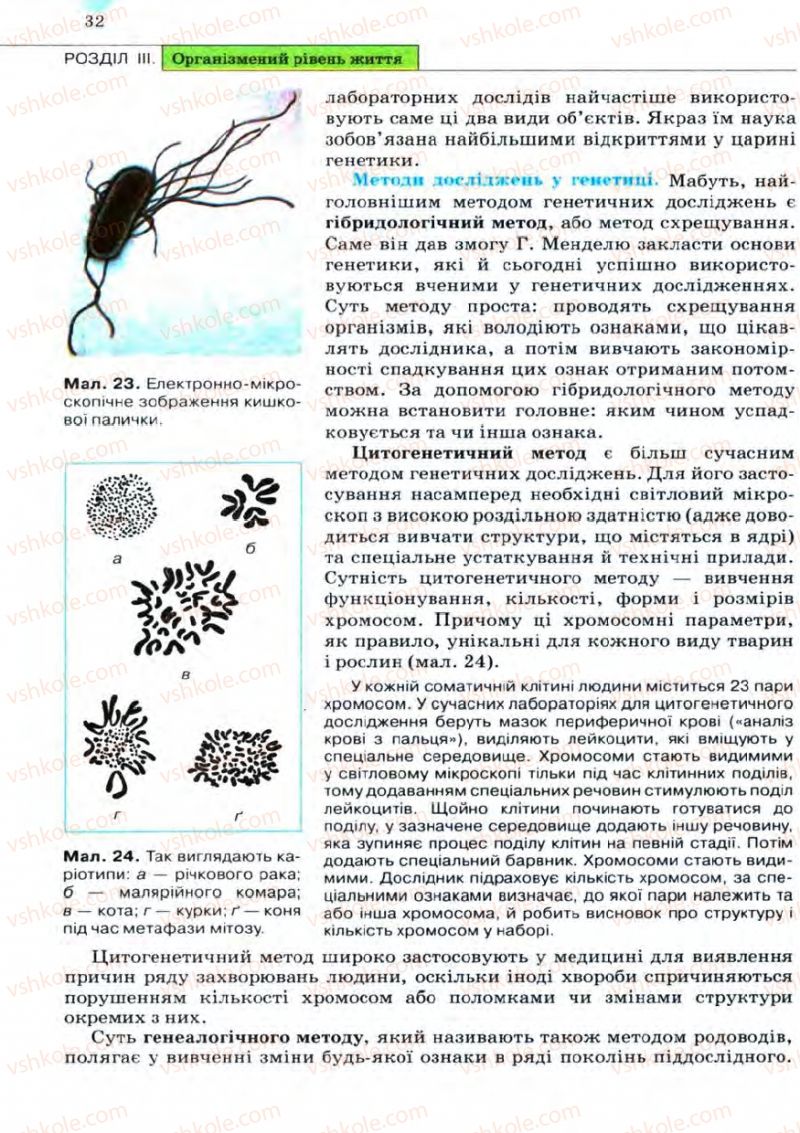 Страница 32 | Підручник Біологія 11 клас С.В. Межжерін, Я.О. Межжеріна 2011 Академічний рівень