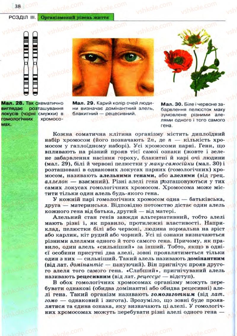 Страница 38 | Підручник Біологія 11 клас С.В. Межжерін, Я.О. Межжеріна 2011 Академічний рівень
