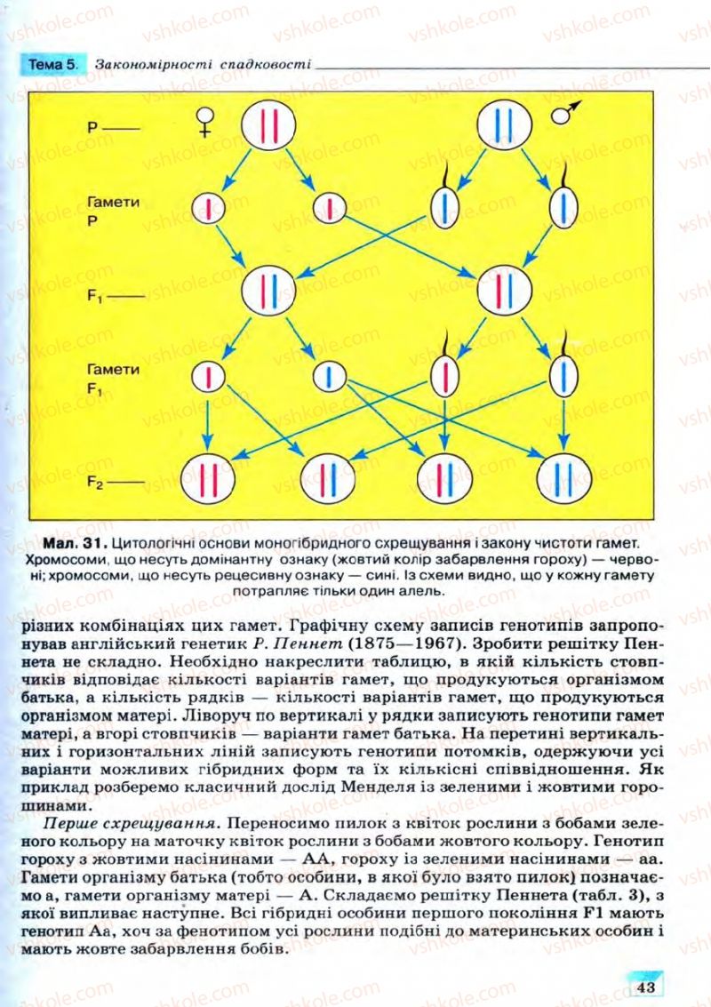 Страница 43 | Підручник Біологія 11 клас С.В. Межжерін, Я.О. Межжеріна 2011 Академічний рівень