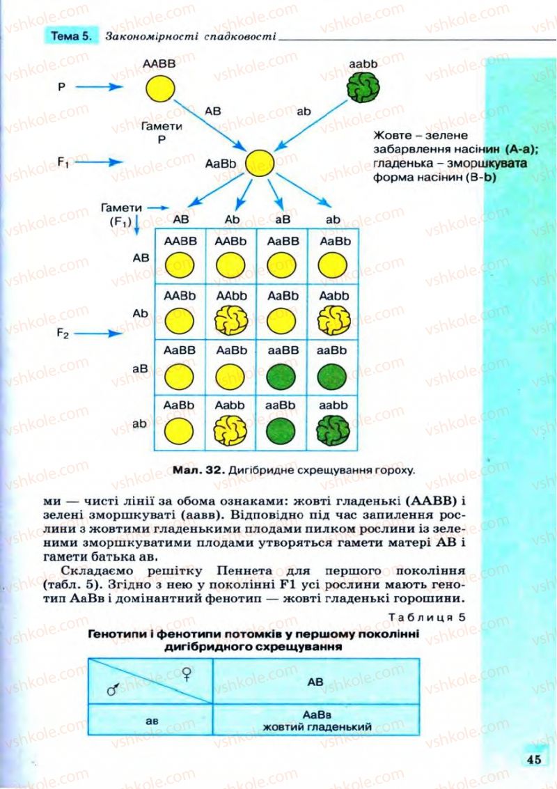 Страница 45 | Підручник Біологія 11 клас С.В. Межжерін, Я.О. Межжеріна 2011 Академічний рівень