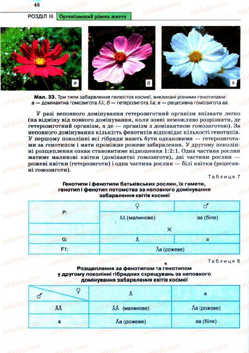 Страница 48 | Підручник Біологія 11 клас С.В. Межжерін, Я.О. Межжеріна 2011 Академічний рівень