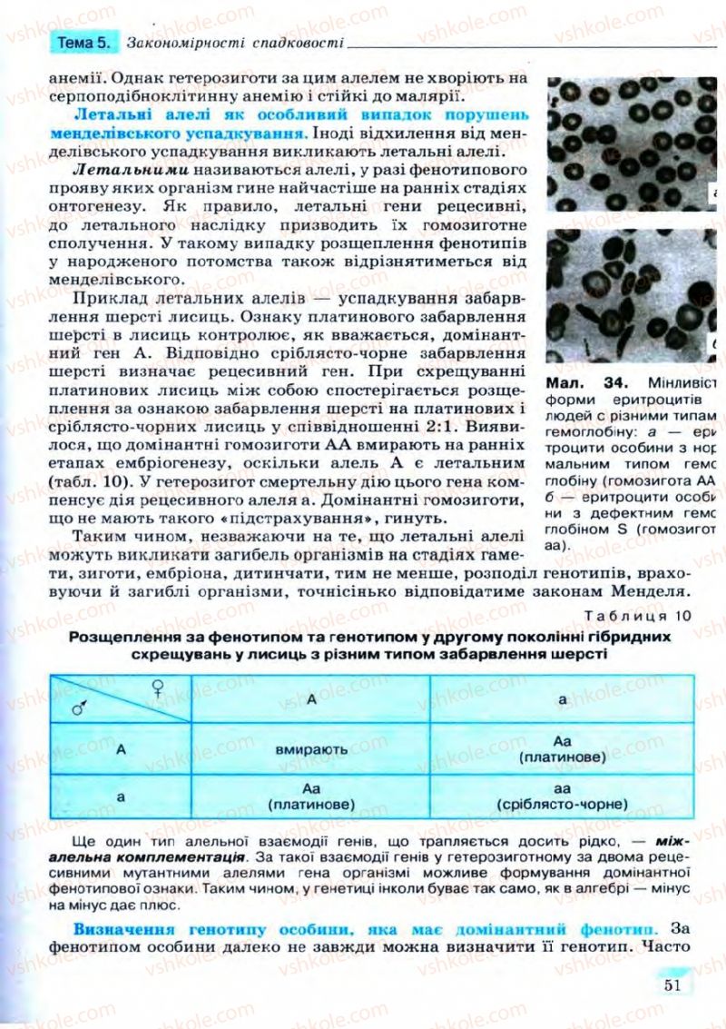 Страница 51 | Підручник Біологія 11 клас С.В. Межжерін, Я.О. Межжеріна 2011 Академічний рівень