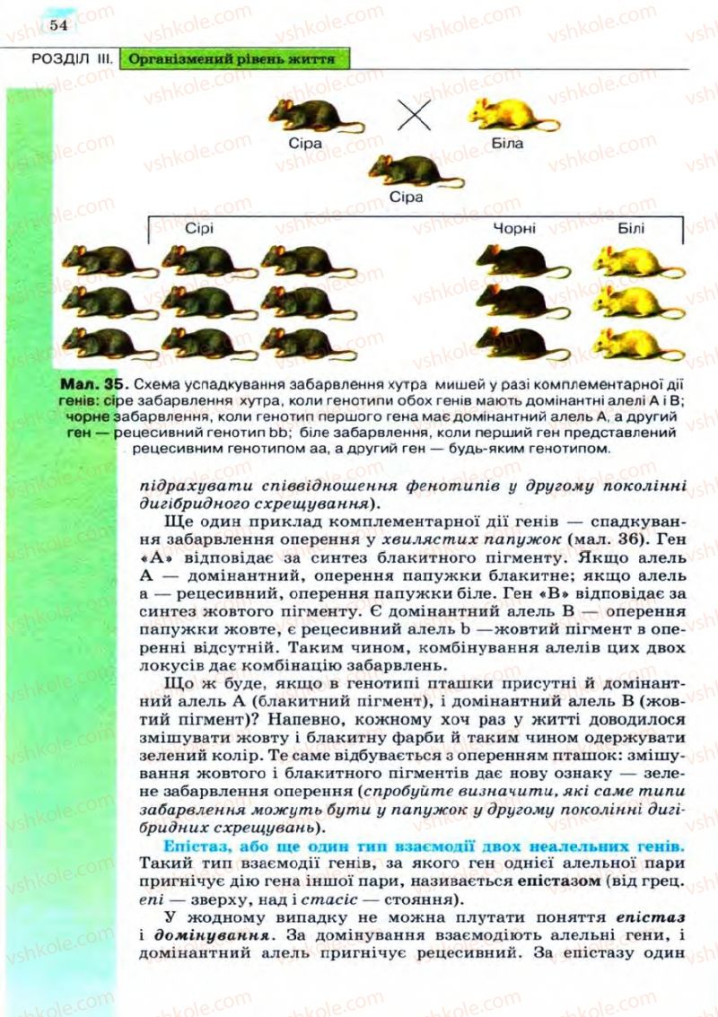 Страница 54 | Підручник Біологія 11 клас С.В. Межжерін, Я.О. Межжеріна 2011 Академічний рівень