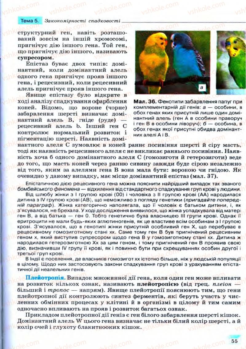Страница 55 | Підручник Біологія 11 клас С.В. Межжерін, Я.О. Межжеріна 2011 Академічний рівень