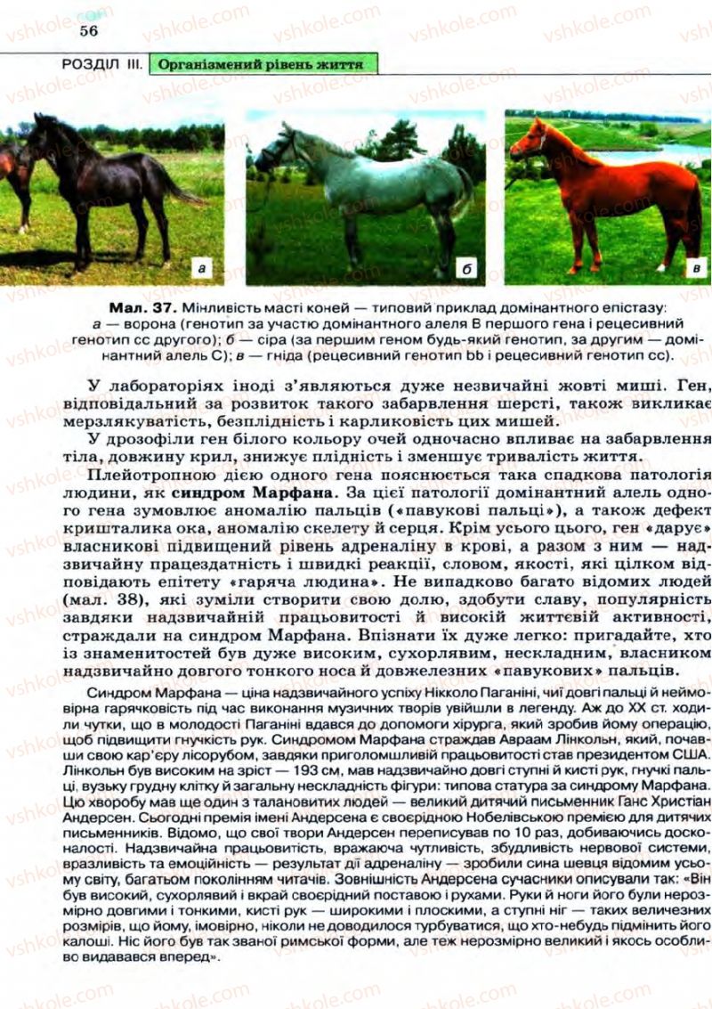 Страница 56 | Підручник Біологія 11 клас С.В. Межжерін, Я.О. Межжеріна 2011 Академічний рівень