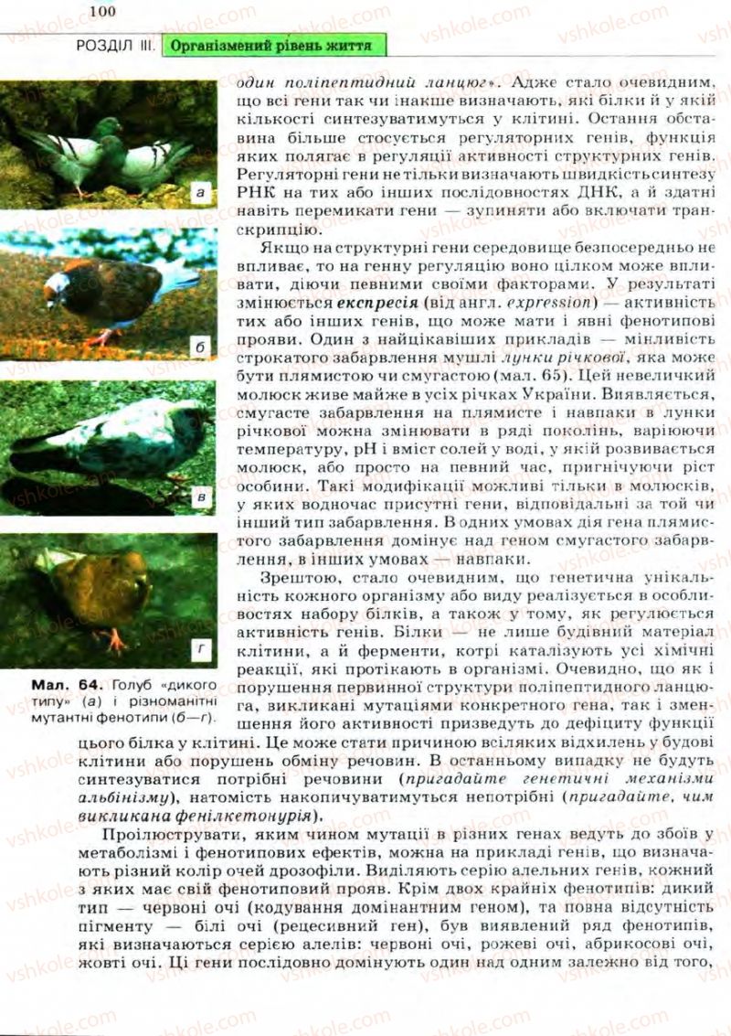 Страница 100 | Підручник Біологія 11 клас С.В. Межжерін, Я.О. Межжеріна 2011 Академічний рівень