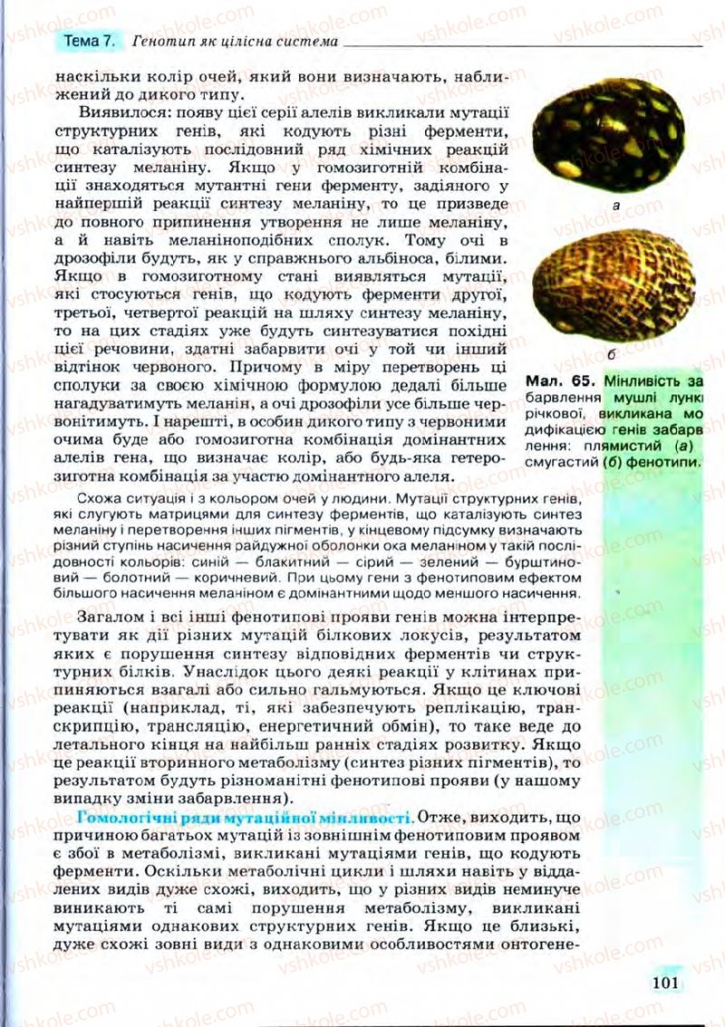 Страница 101 | Підручник Біологія 11 клас С.В. Межжерін, Я.О. Межжеріна 2011 Академічний рівень