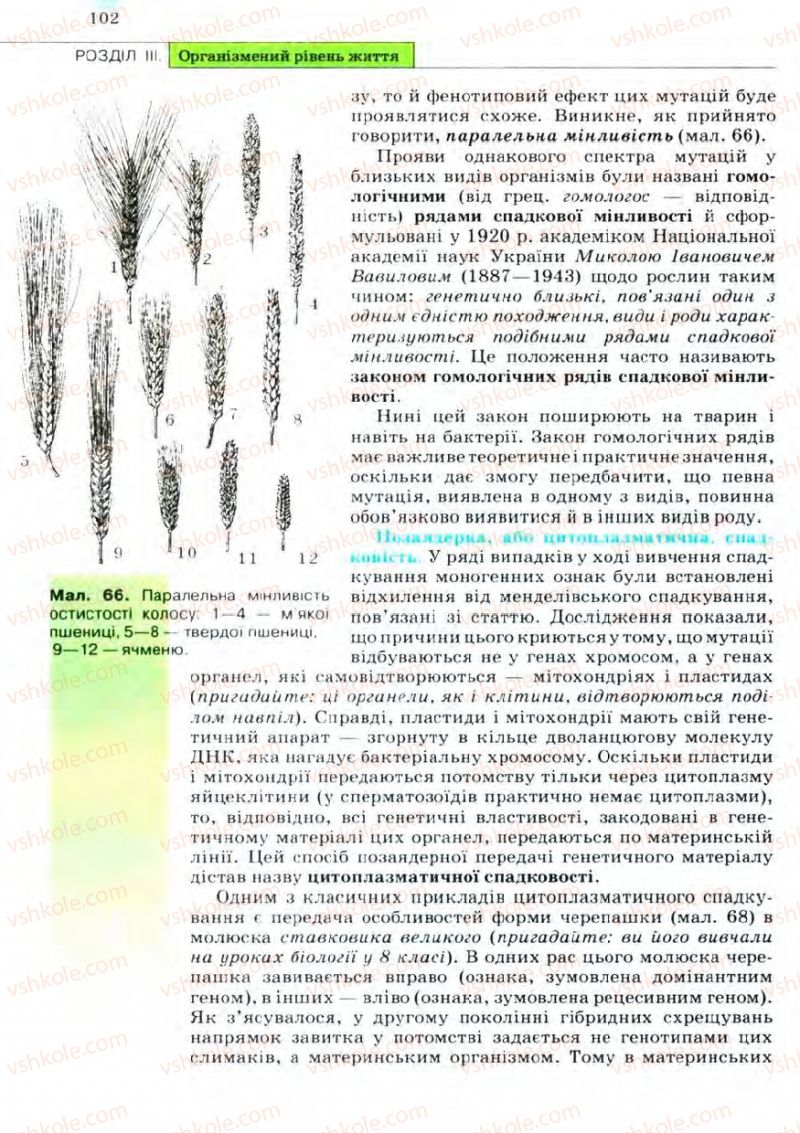 Страница 102 | Підручник Біологія 11 клас С.В. Межжерін, Я.О. Межжеріна 2011 Академічний рівень