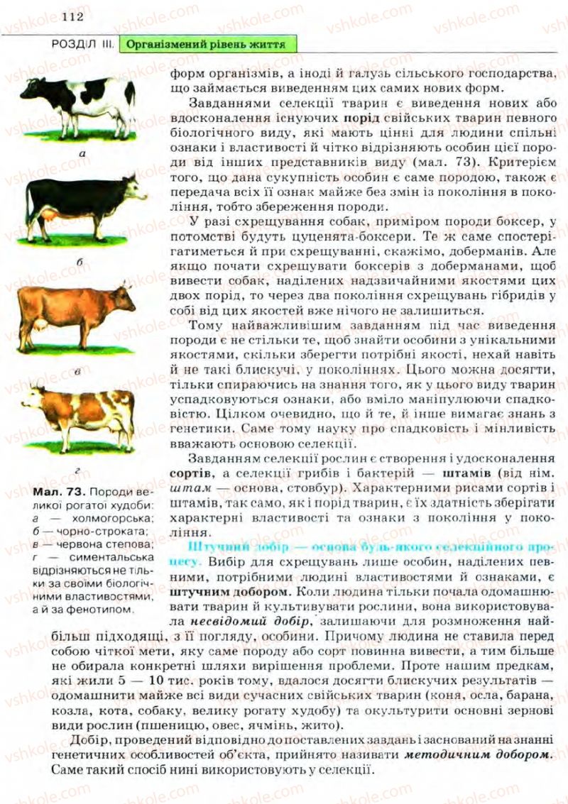 Страница 112 | Підручник Біологія 11 клас С.В. Межжерін, Я.О. Межжеріна 2011 Академічний рівень