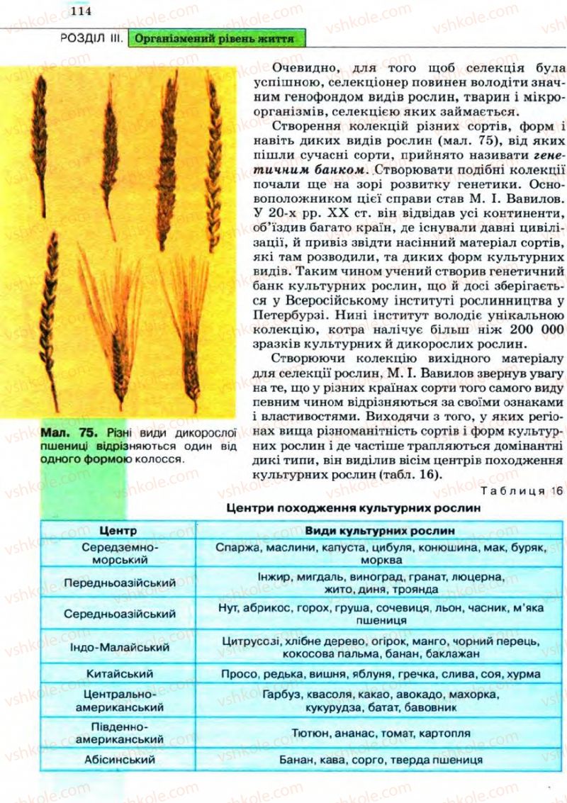 Страница 114 | Підручник Біологія 11 клас С.В. Межжерін, Я.О. Межжеріна 2011 Академічний рівень
