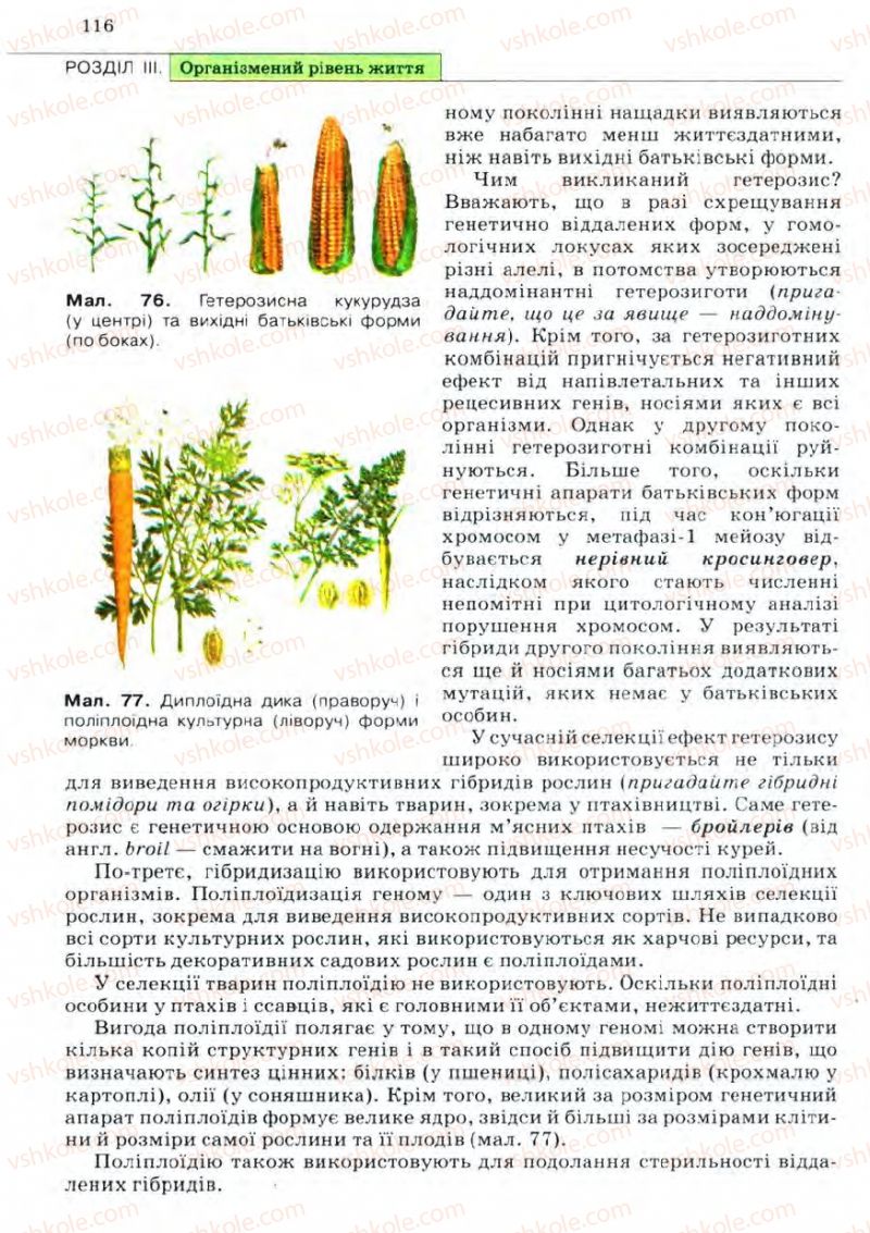 Страница 116 | Підручник Біологія 11 клас С.В. Межжерін, Я.О. Межжеріна 2011 Академічний рівень