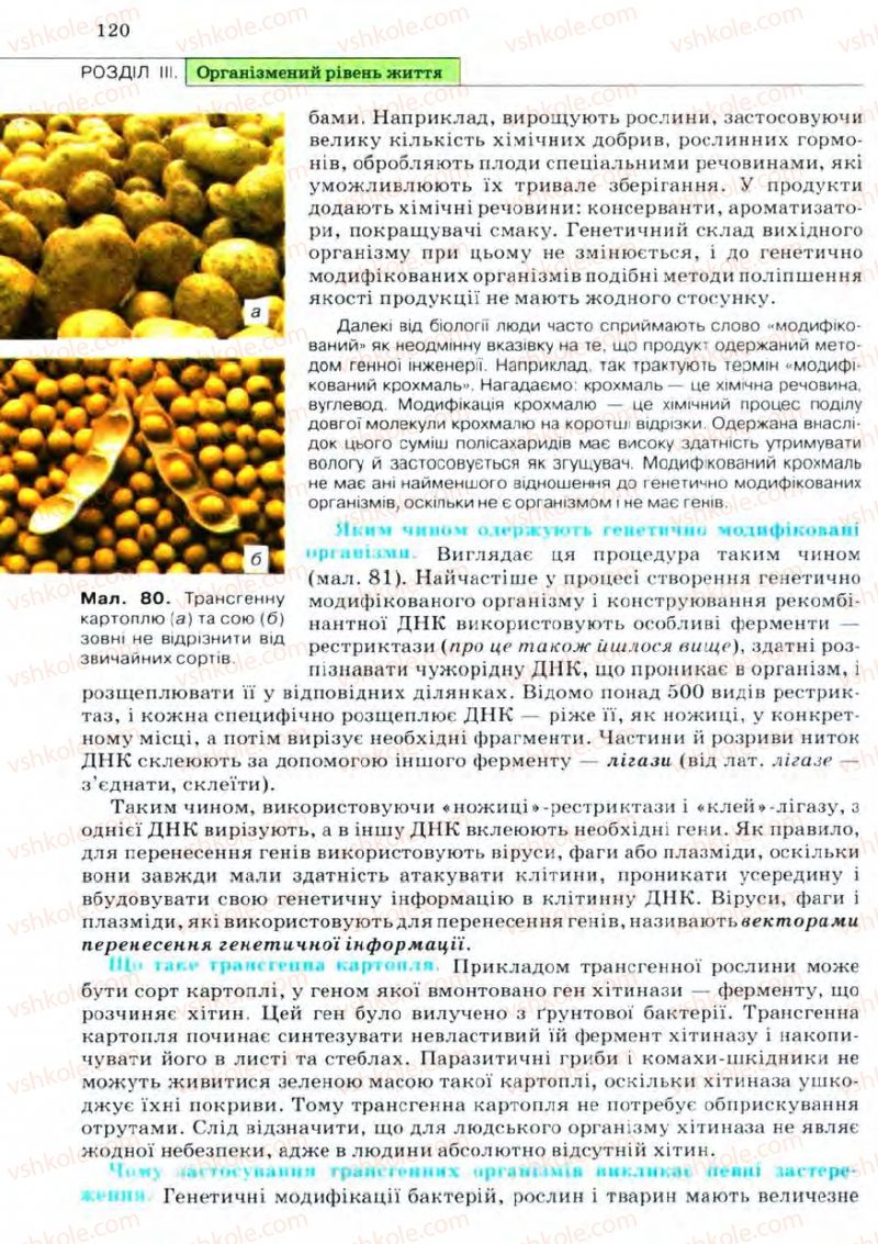 Страница 120 | Підручник Біологія 11 клас С.В. Межжерін, Я.О. Межжеріна 2011 Академічний рівень