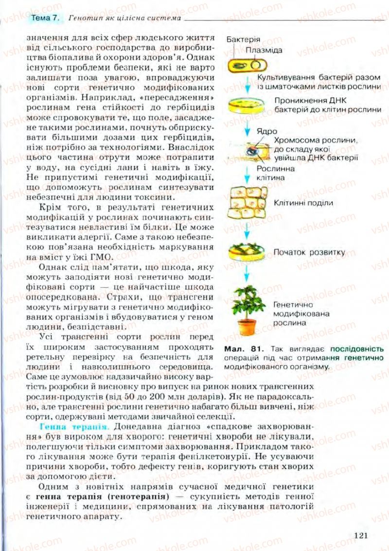 Страница 121 | Підручник Біологія 11 клас С.В. Межжерін, Я.О. Межжеріна 2011 Академічний рівень