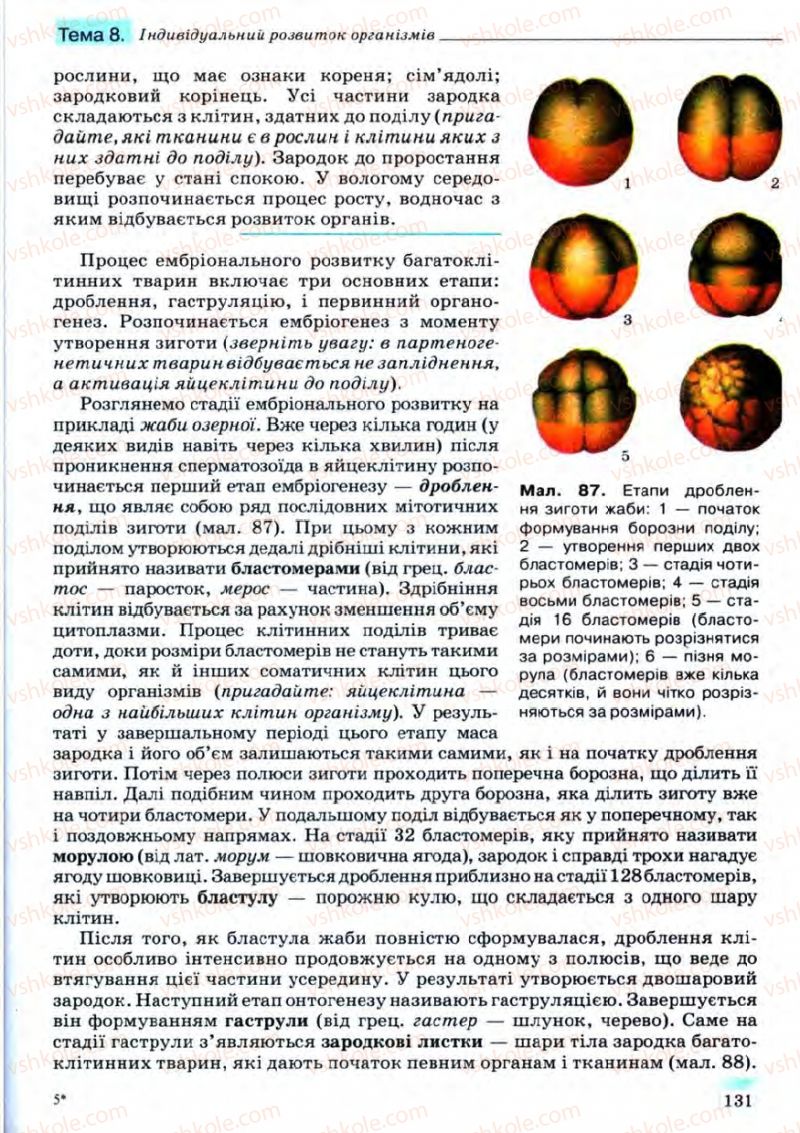 Страница 131 | Підручник Біологія 11 клас С.В. Межжерін, Я.О. Межжеріна 2011 Академічний рівень