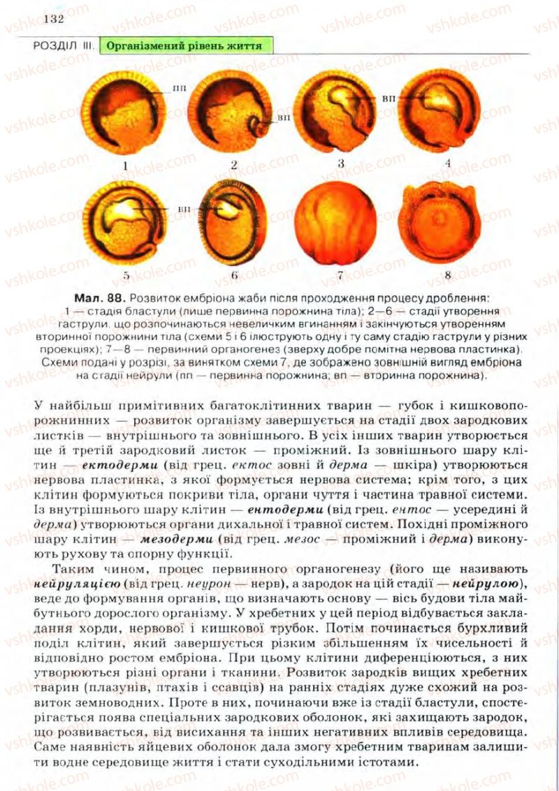 Страница 132 | Підручник Біологія 11 клас С.В. Межжерін, Я.О. Межжеріна 2011 Академічний рівень