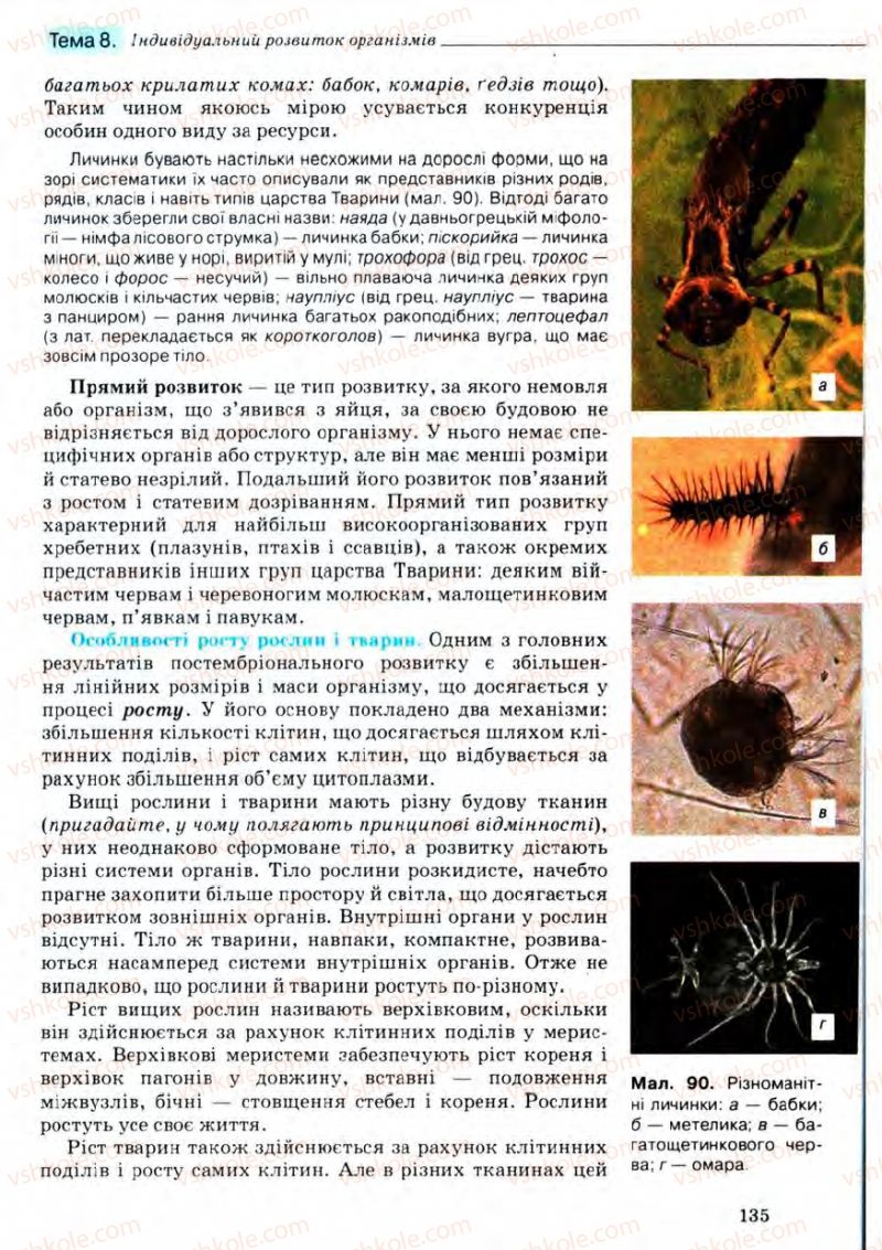 Страница 135 | Підручник Біологія 11 клас С.В. Межжерін, Я.О. Межжеріна 2011 Академічний рівень