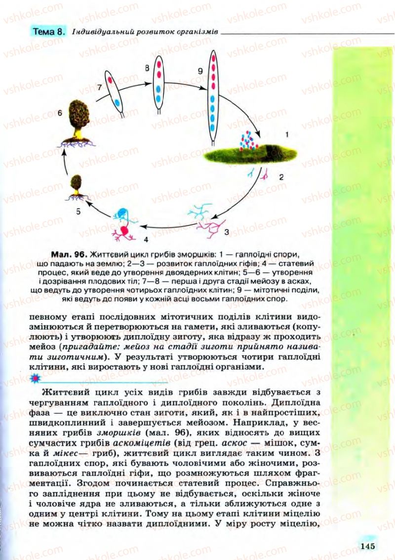 Страница 145 | Підручник Біологія 11 клас С.В. Межжерін, Я.О. Межжеріна 2011 Академічний рівень