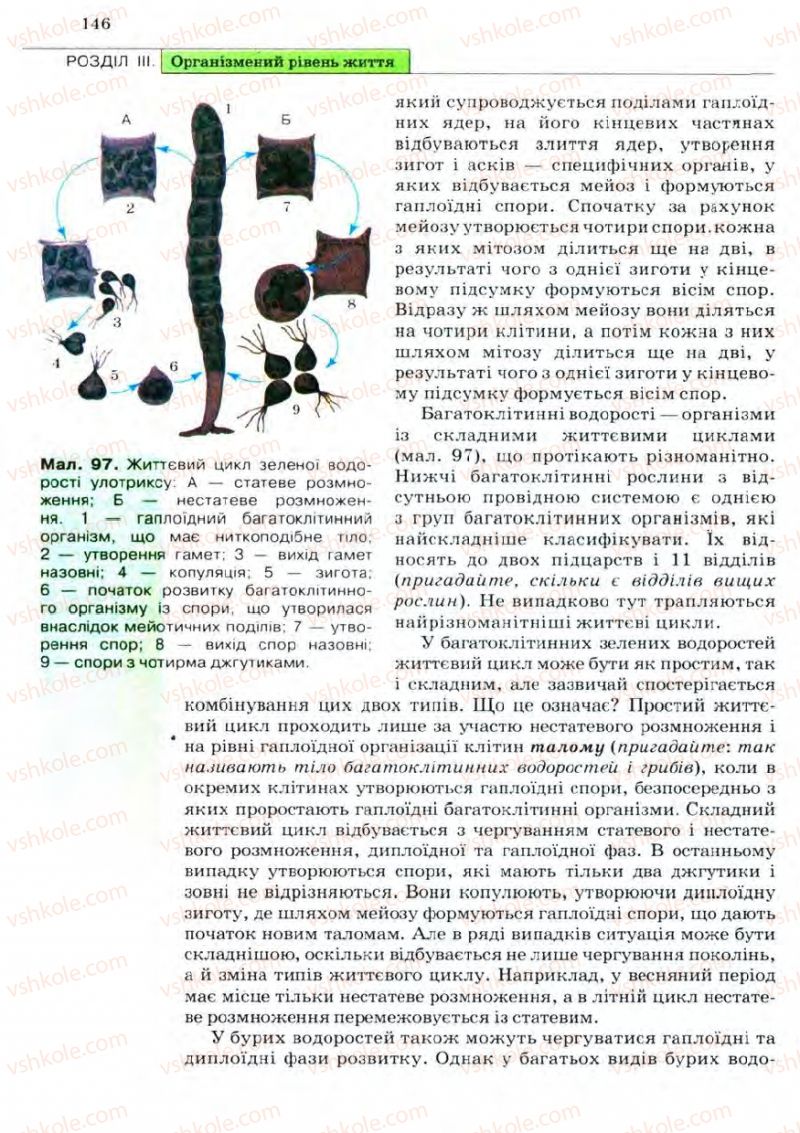 Страница 146 | Підручник Біологія 11 клас С.В. Межжерін, Я.О. Межжеріна 2011 Академічний рівень