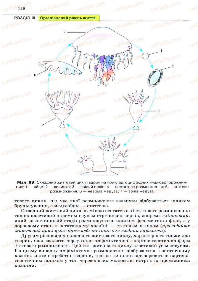 Страница 148 | Підручник Біологія 11 клас С.В. Межжерін, Я.О. Межжеріна 2011 Академічний рівень
