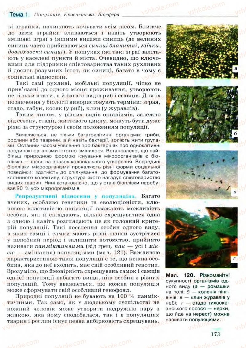 Страница 173 | Підручник Біологія 11 клас С.В. Межжерін, Я.О. Межжеріна 2011 Академічний рівень
