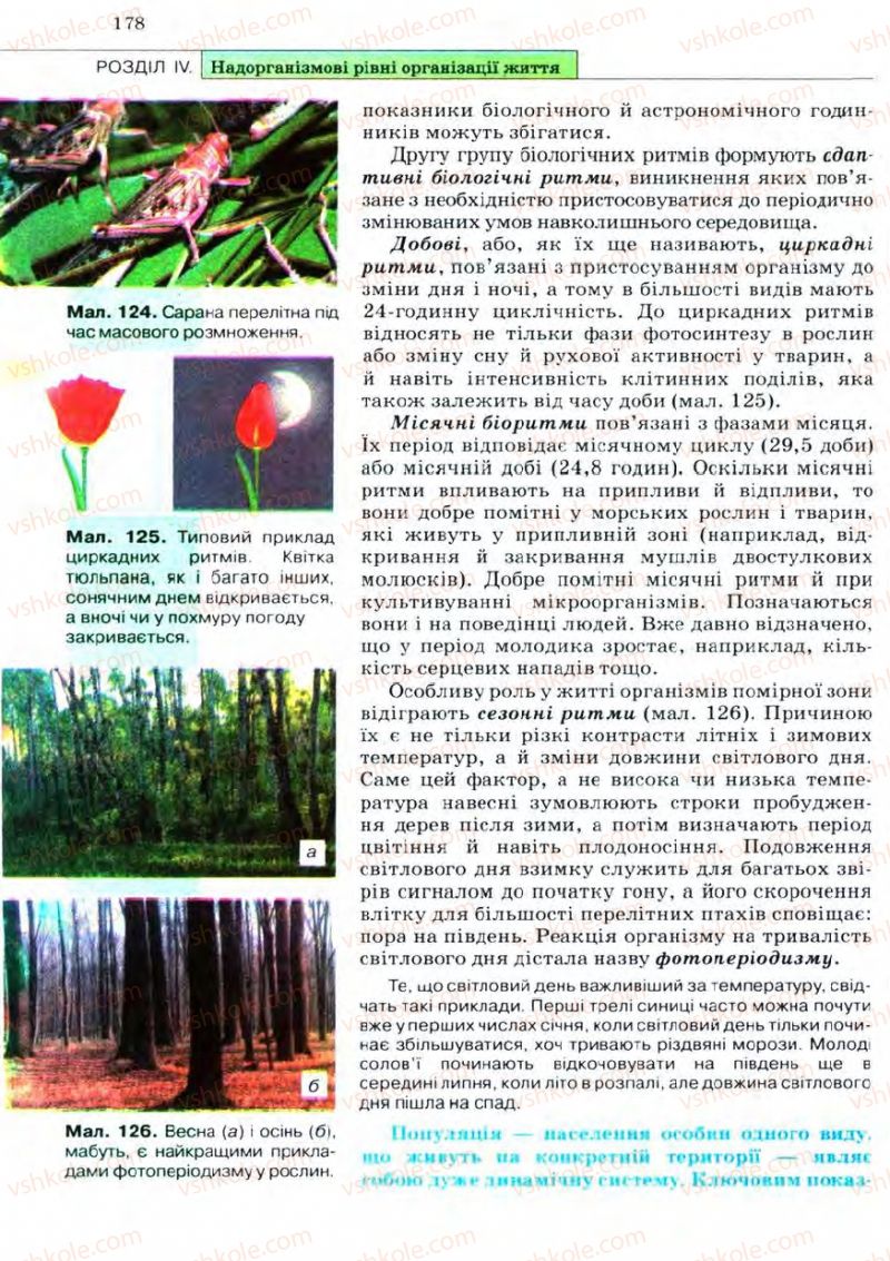 Страница 178 | Підручник Біологія 11 клас С.В. Межжерін, Я.О. Межжеріна 2011 Академічний рівень